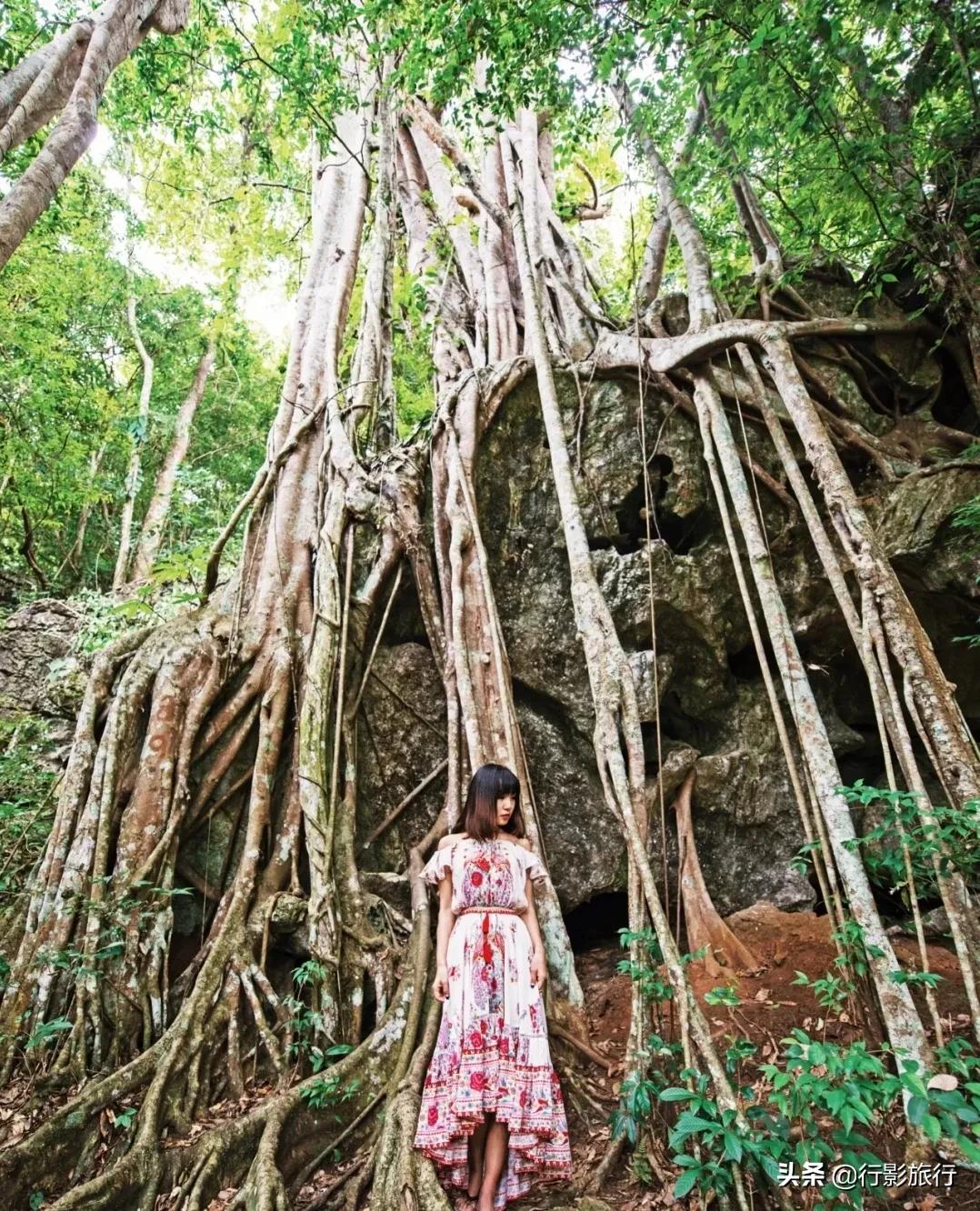 云南的西双版纳州怎么样,云南西双版纳景区怎么样