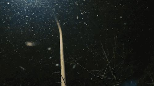 初学来了！大降温开始了！淮友们最难熬的日子来了！