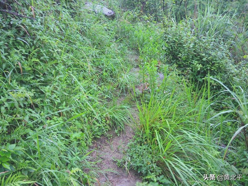 贵州遵义安场古道,贵州正安羊角老古道