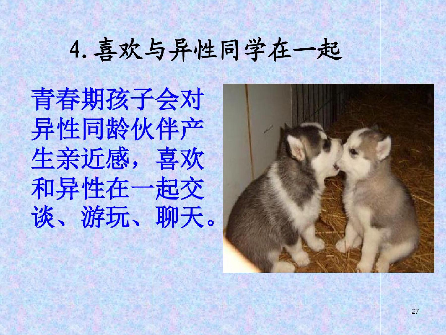 青春期孩子教育课件,青春期健康教育课件免费下载