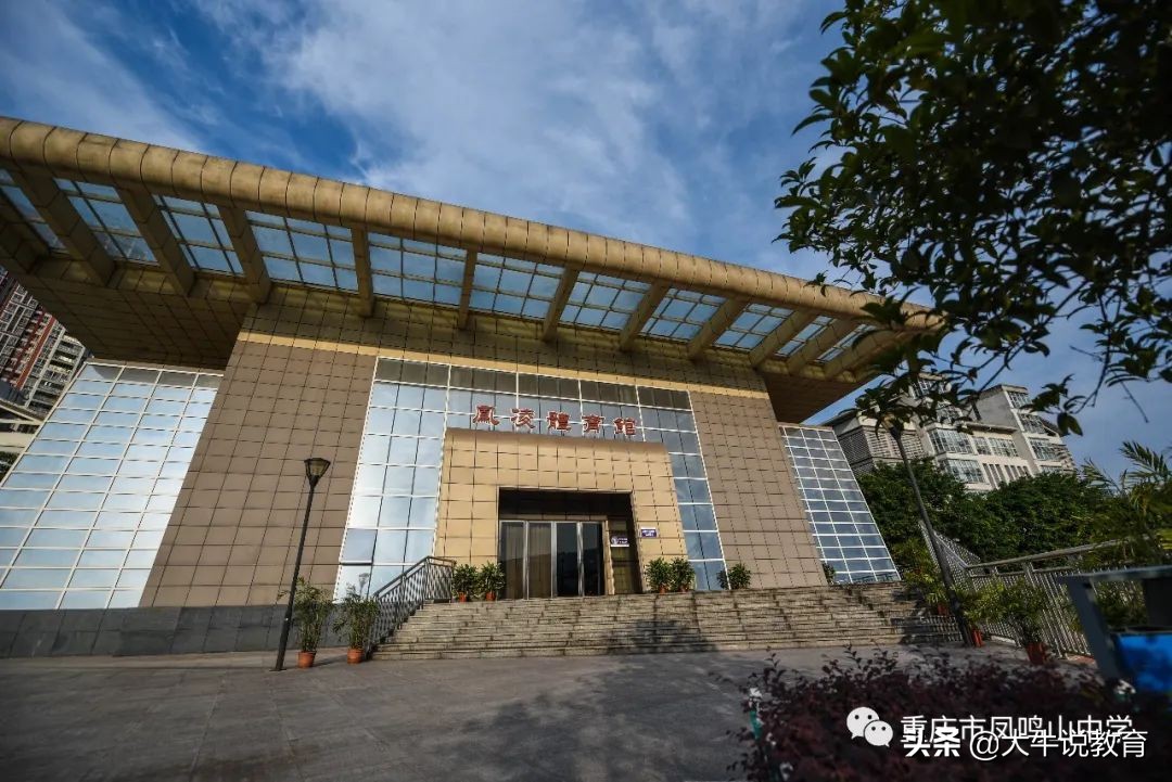 体育特长如何走统招路线,以艺术特长生进入高中