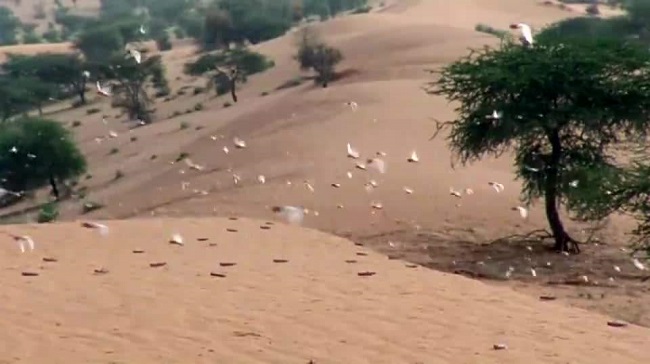 汉武帝能拯救汉朝吗,汉武帝认为汉朝的两大耻辱