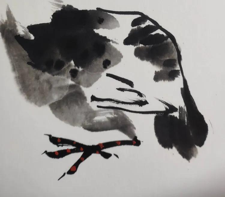 你认识吗丁啉,你认识吗