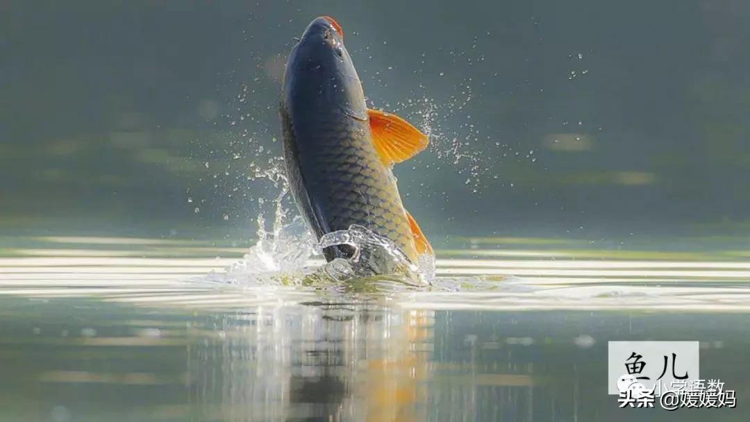 三年级语文第17课童年的水墨画,三年级下册语文第18课水墨画