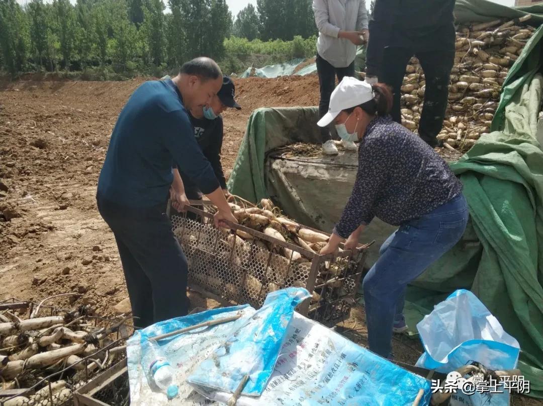 平阴新闻|长清—平阴段市域铁路最新动态；生活垃圾分类知识培训、金融产业专班第二次会、护士节表扬会举行