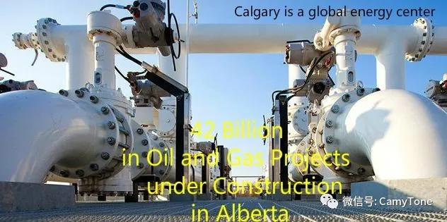 40涓悊鐢辫浣犵埍涓婂姞鎷垮ぇ鍗″皵鍔犻噷,鍘诲姞鎷垮ぇ鍗″皵鍔犻噷鏀荤暐