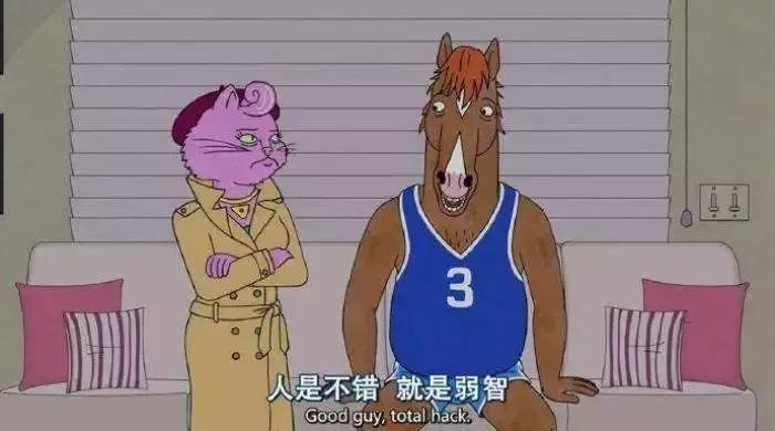 猫咪有个超有情商的铲屎官,猫咪智商测试果然豆丁智商最高