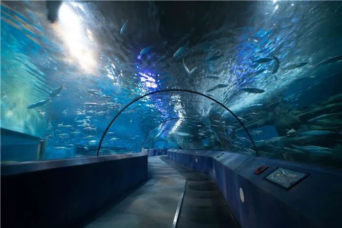 南京周末遛娃好去处,悠闲带娃好去处