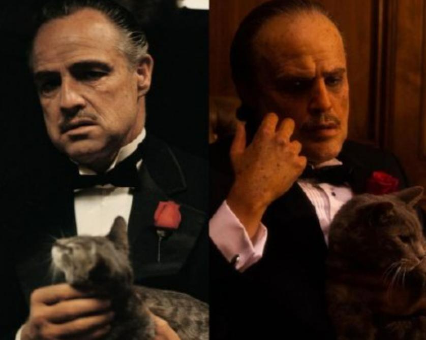 小丑女真实颜值,小丑女真实样貌