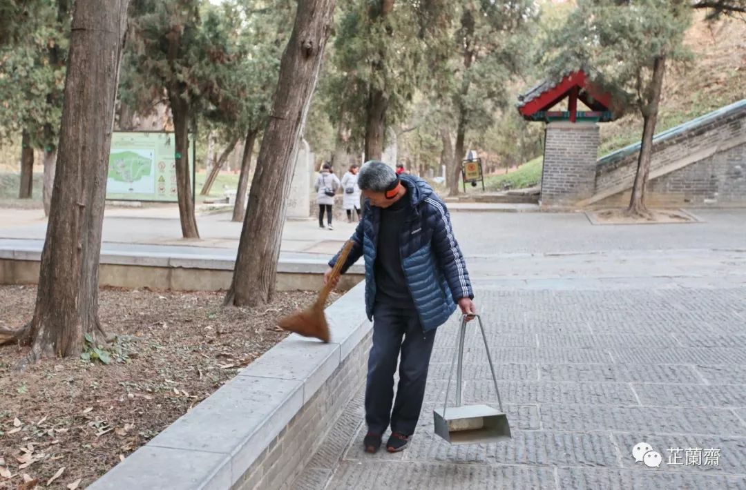 孔林各个时代的墓葬,孔林埋葬孔子家族墓葬多少座