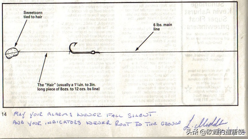 欧鲤钓必须用弯背钩吗,欧鲤钓真的那么厉害吗