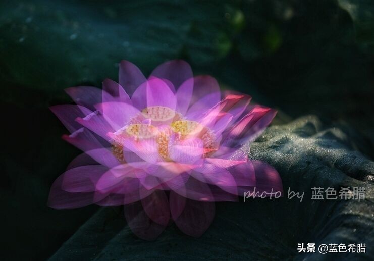 佳能5d370-200人像拍摄参数,佳能5d3拍出的照片带着详细参数