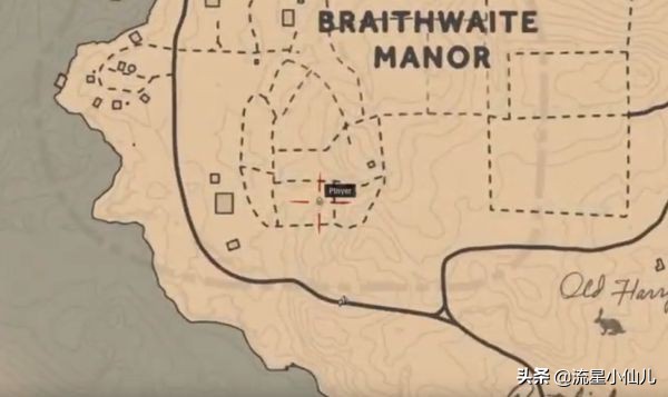 荒野大镖客捡的帽子怎么保存,荒野大镖客打掉三个人的帽子