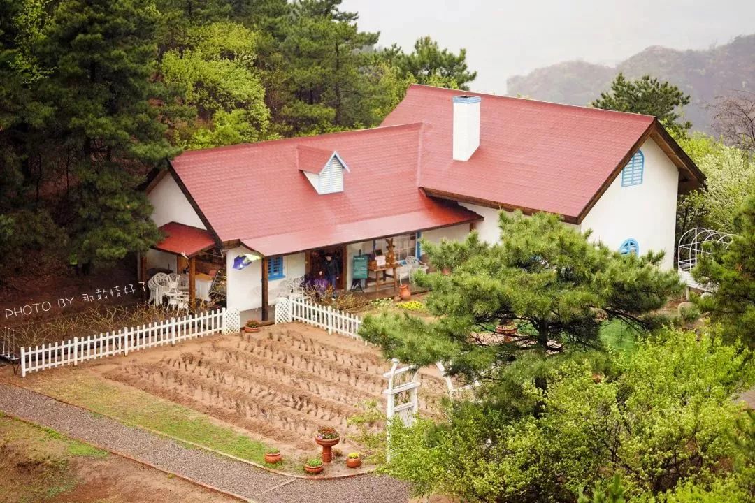 北京京郊童话树屋,台湾神奇的树屋