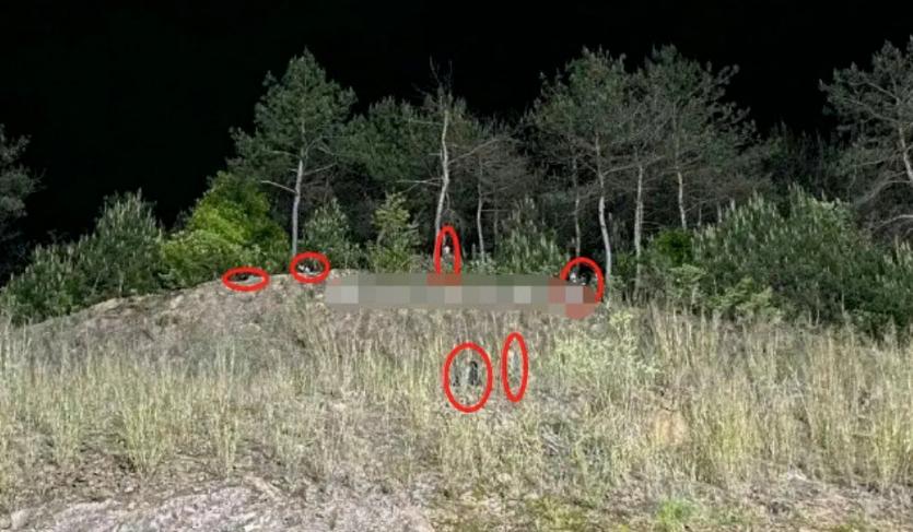 杨幂遭工作室曝光素颜照,杨幂被曝片场休息照