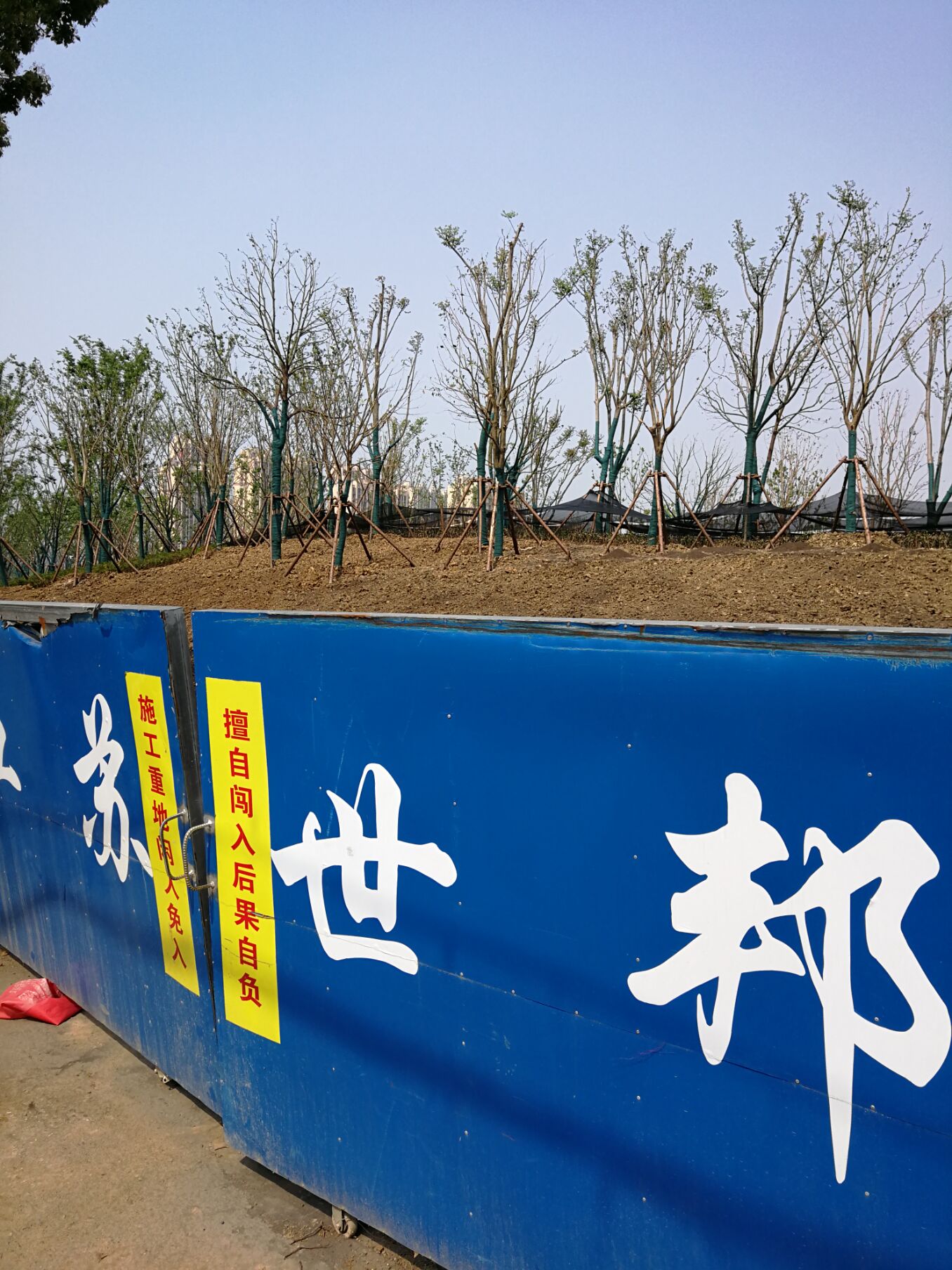 江阴锡澄运河的历史,锡澄运河老照片