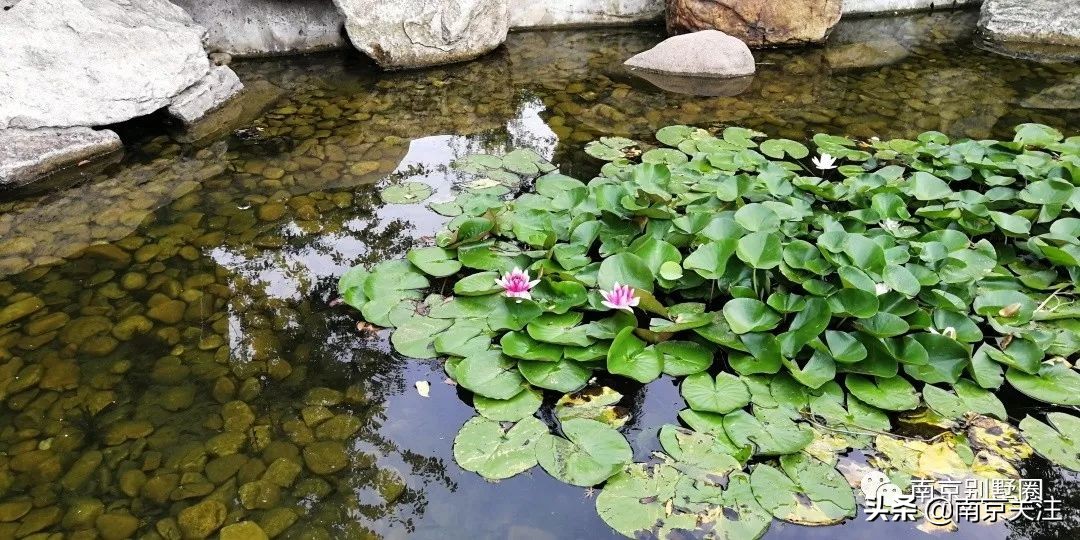 南京首开新项目房价,南京山居温泉楼盘