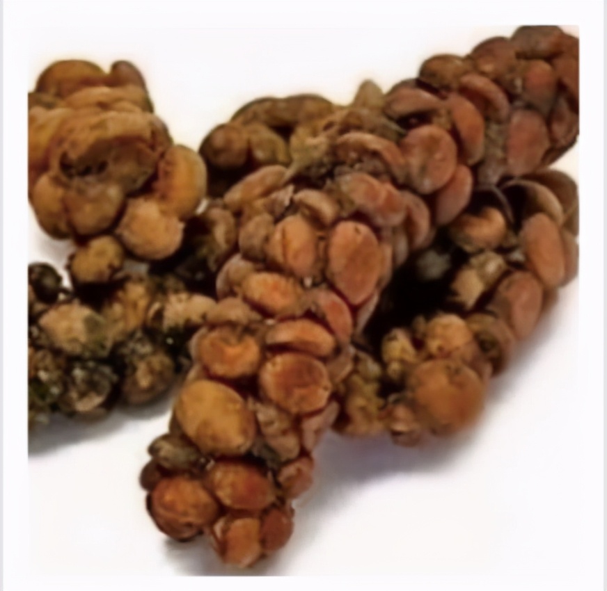 猫屎咖啡品种和价格,猫屎咖啡是什么价格