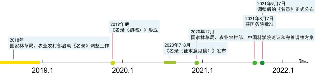 天价兰花成交,昂贵的野生兰花