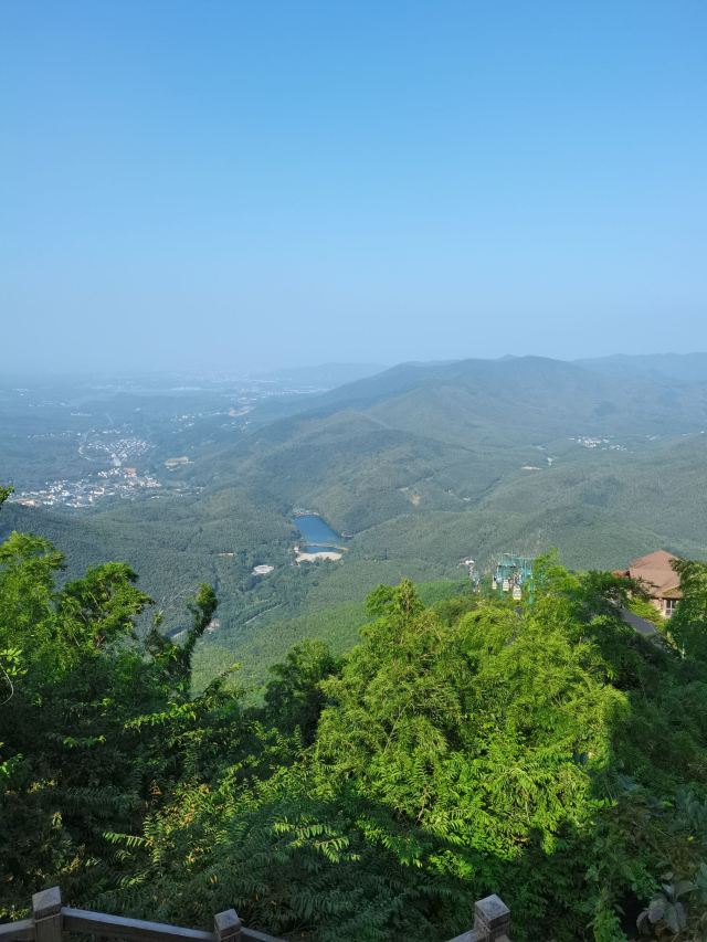 宜兴竹海自然风景图片,清新的竹林风景图片