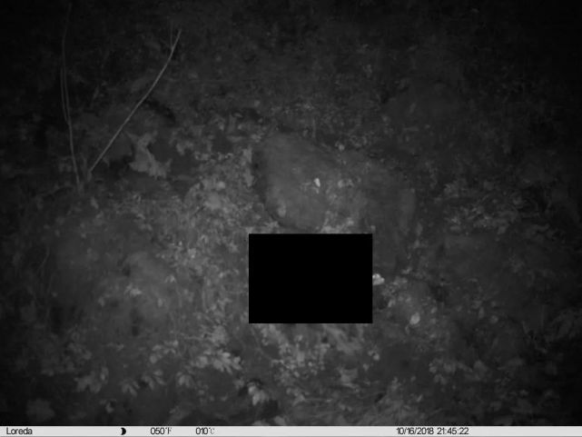 ai模型消除,ai模型报错