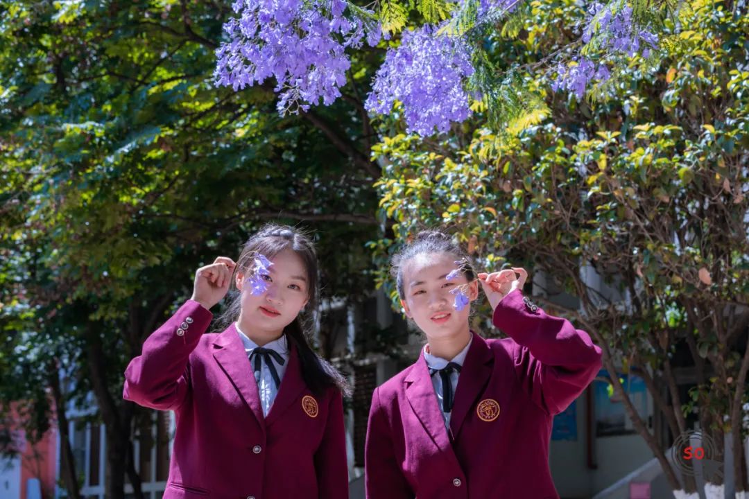 校园|遇见.初夏属于十中的紫色烂漫