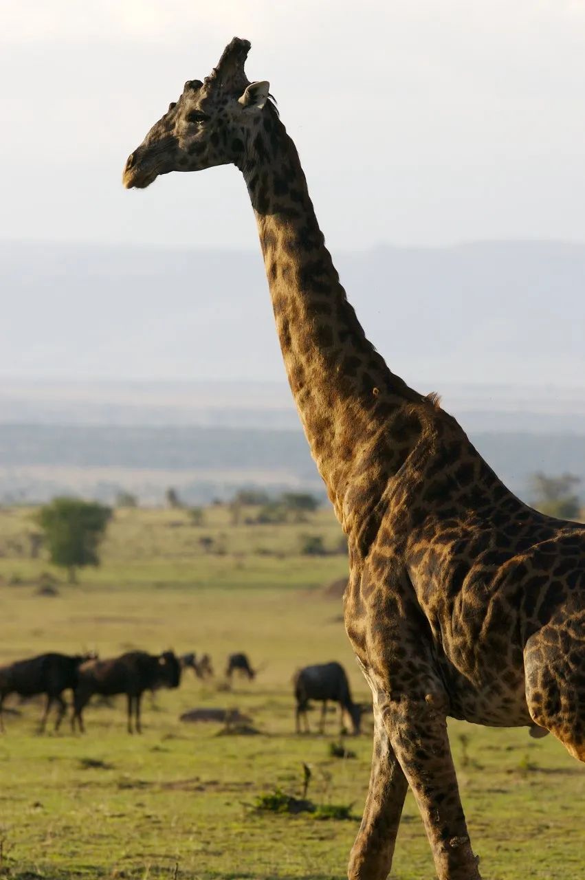 宅家一日游景点大全,宅家旅游指南唯美