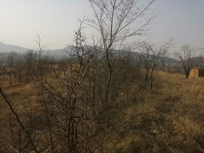 省派第一书记驻村工作,2022年全省驻村第一书记