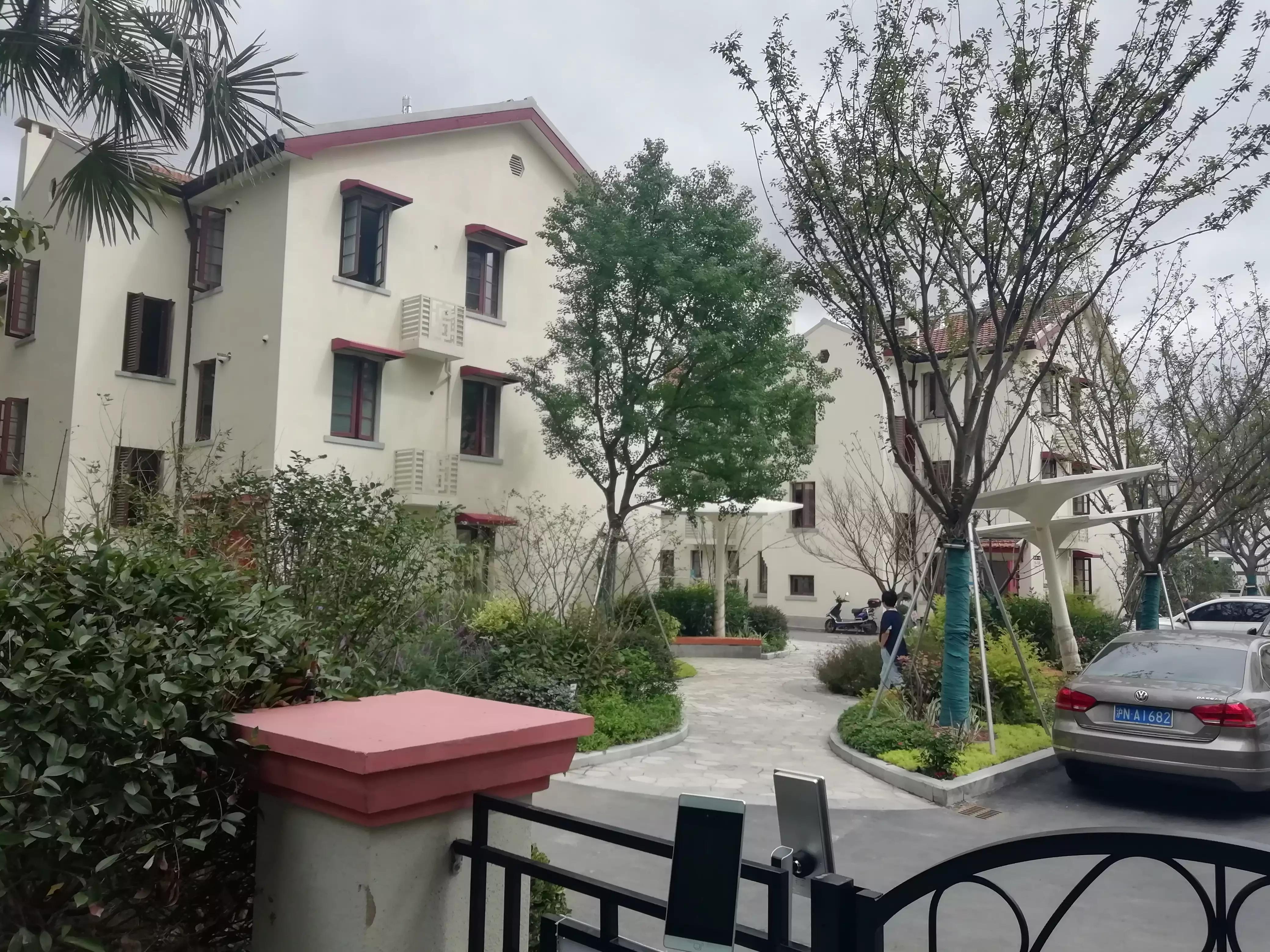 此劳模新村何以植物命名马路，以至美得像江南园林？