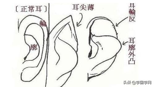 看五官如何看出福相,流年运势面相图解大全