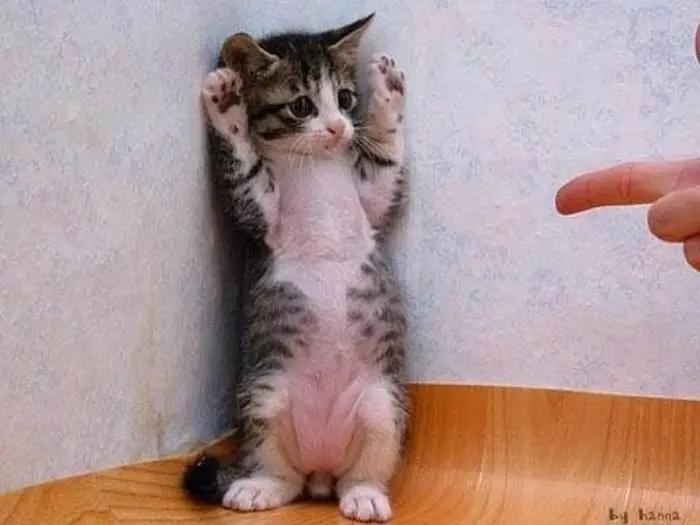 打球后肩膀痛怎么缓解,打球肩膀疼一招搞定