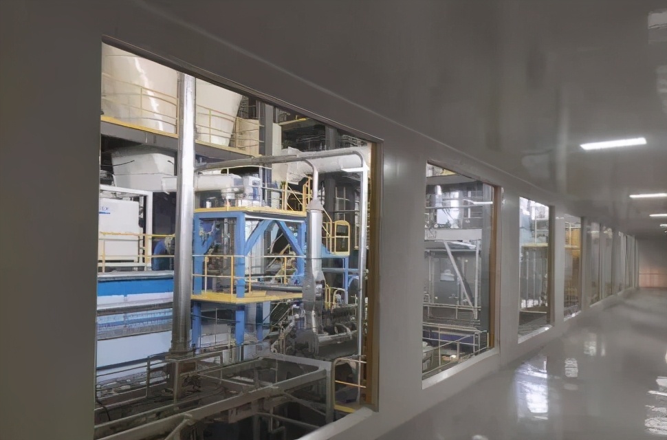 ski食极狗粮测评,ski食极测评