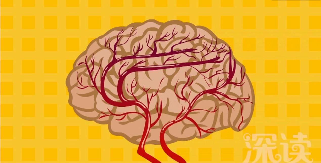 得了脑血管堵塞怎么办,脑血管堵塞了有什么办法吗