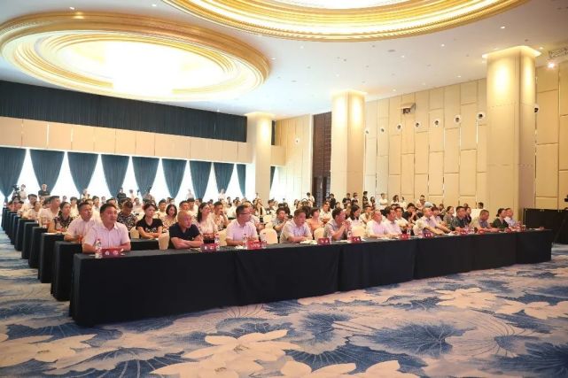 遂宁青年直播电商协会,遂宁首届青年电商直播大赛杨悦