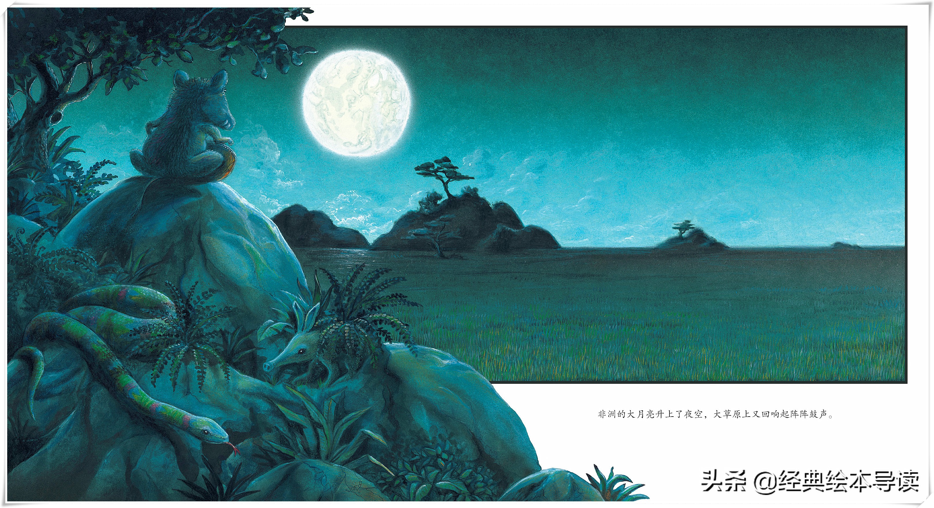 “弱势”与卑微生命的愿望——《阿吉的许愿鼓》导读