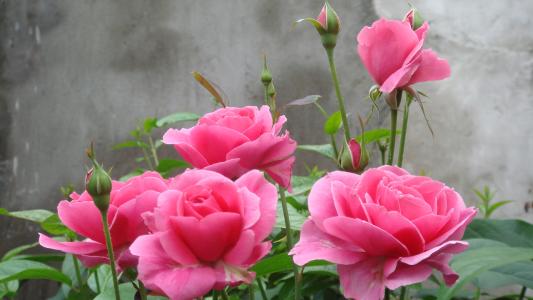 如果一个人想创业该怎么做,如果要跟朋友创业的话该注意什么