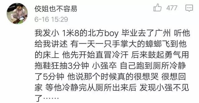 灭蟑螂的最好方法家里有很多蟑螂,家里蟑螂怎么灭