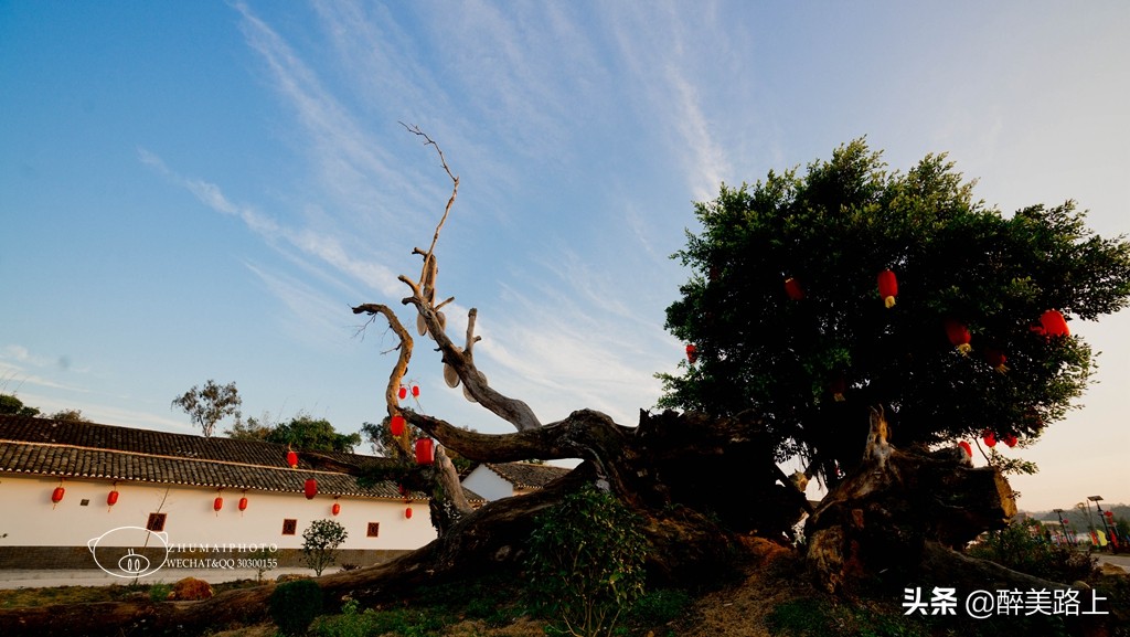 暖暖广东｜马市小吃文化节，红梨缤放新活力