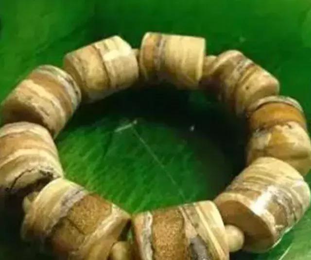 有关猛犸象的知识,猛犸象牙的来历