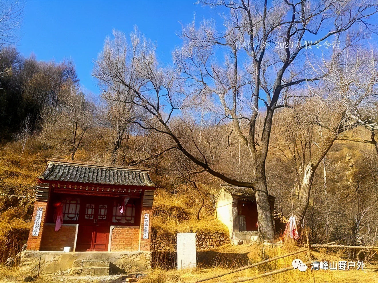 适合小学生寒假去的冬令营,冬天儿童冰雪游学