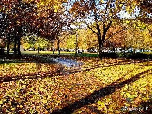 早教开发右脑的十种方法,成年人如何开发右脑思维