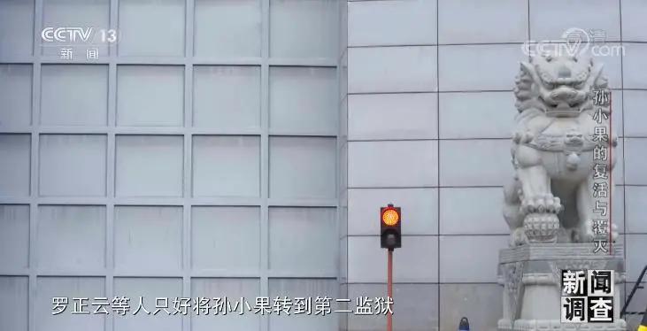 社会与法孙小果,社会评论孙小果