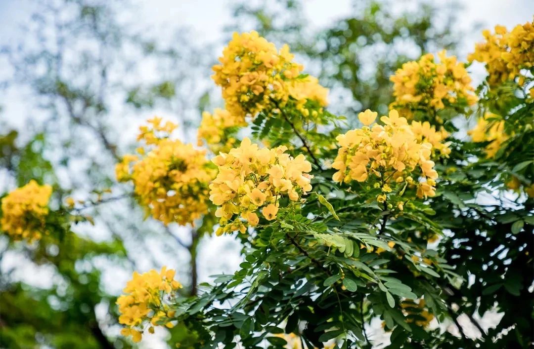 深圳看海去哪里比较好,深圳出地铁就看海的地方是哪里