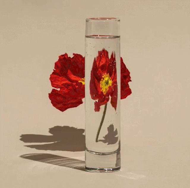 在家拍摄100个创意技巧,在家拍摄100个创意摄影方案