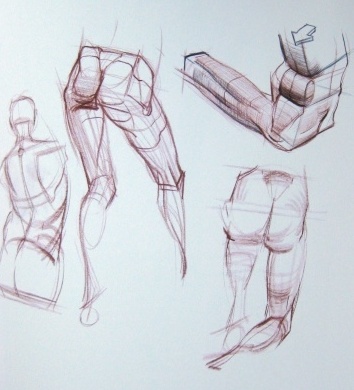 腿部的画法古风,腿部的画法板绘