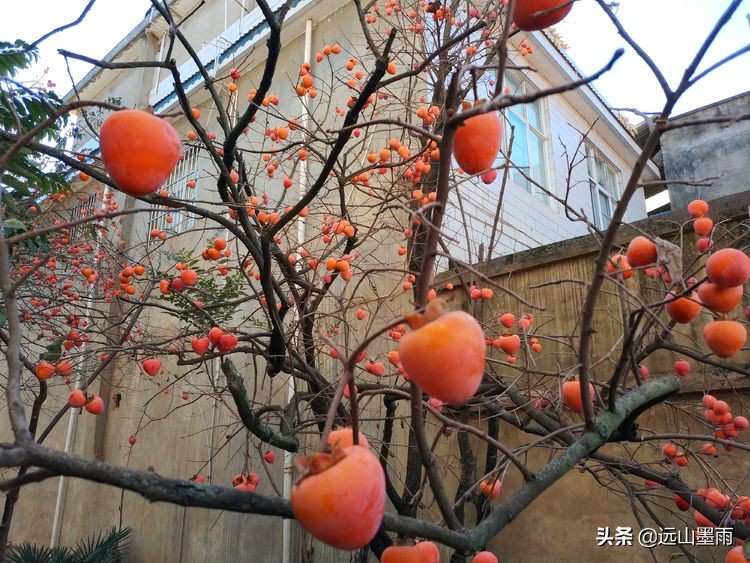 冬日阳光明媚，随走昆明松茂水库周边，遇见小村庄里的老式手工活