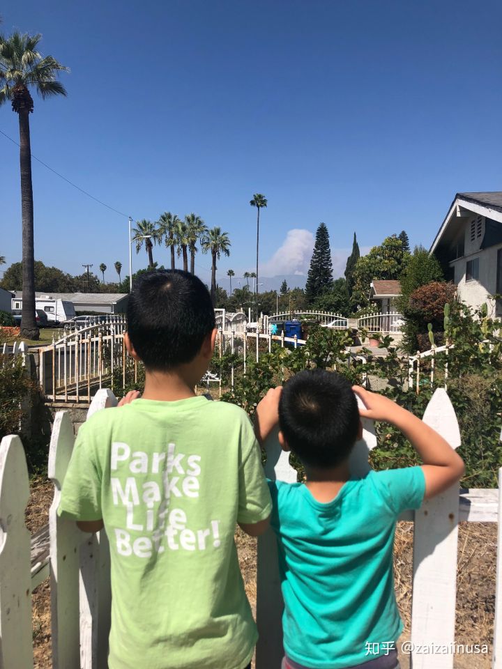 美国现在真实社会现状,美国社会真实的现状