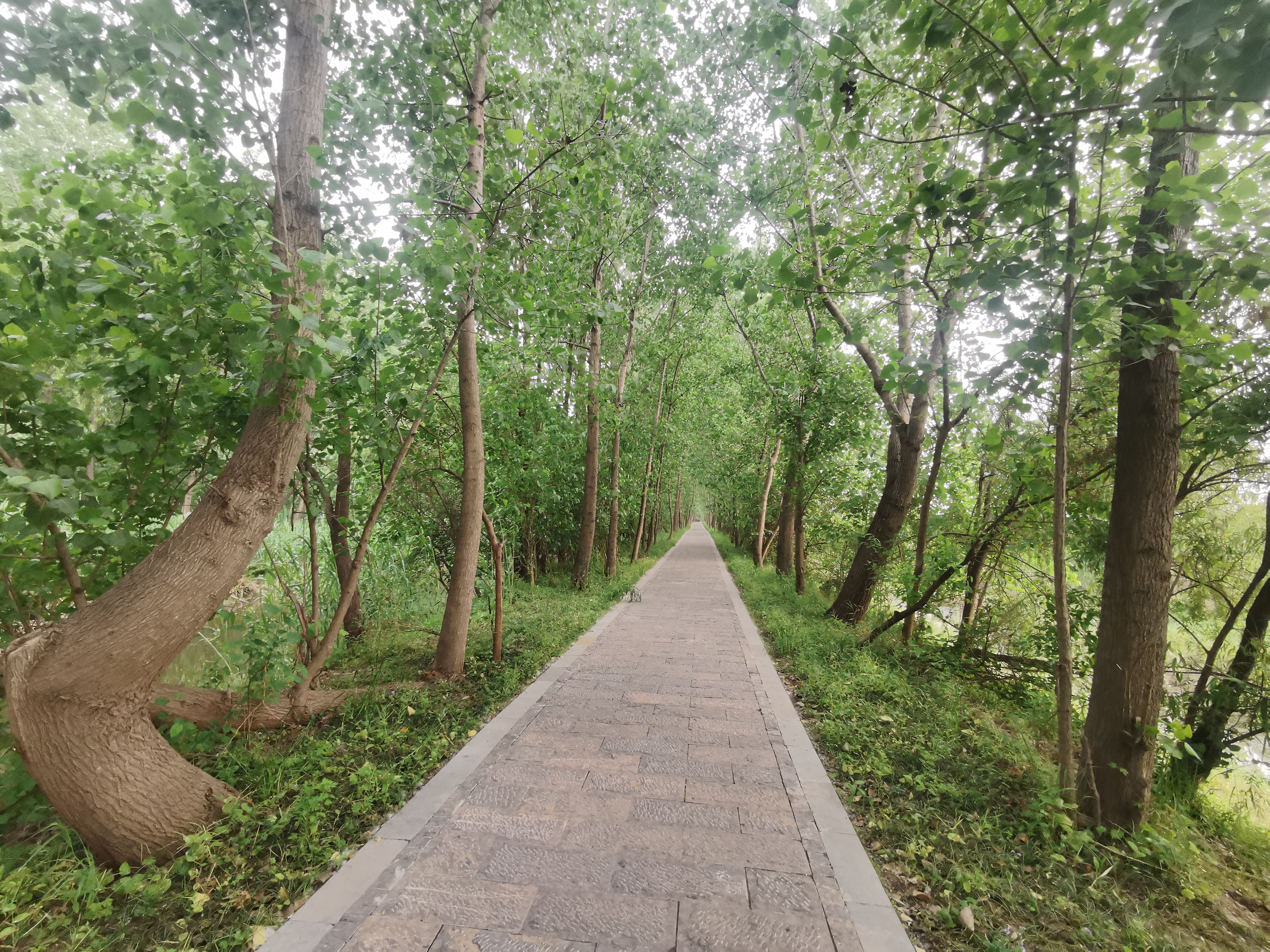 马鞍山风景名胜区,生态画卷美不胜收