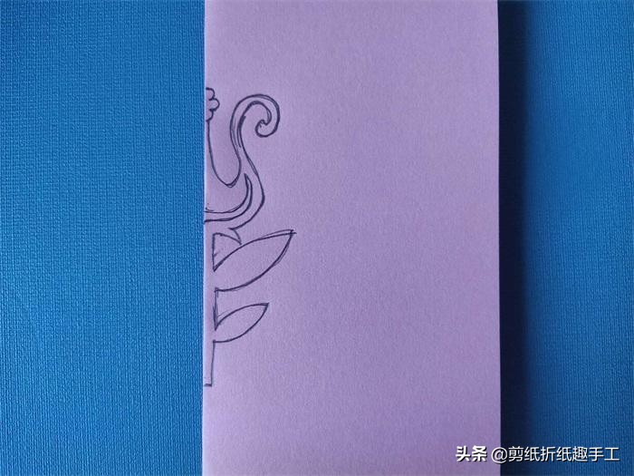 各种色调的郁金香有哪些寓意,紫色的郁金香高贵优雅的象征