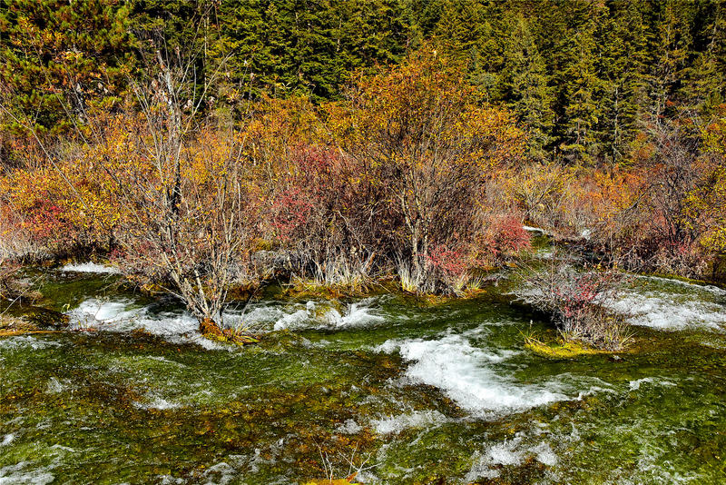 置身于童话中的九寨沟,畅游人间仙境黄龙九寨沟七日游